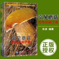好奇心书系 常见蘑菇野外识别手册 蘑菇分辨手册 户外探险荒野求