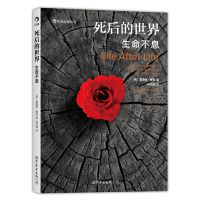 死后的世界生命不息雷蒙德穆迪探讨死亡与濒死体验智慧人生哲学 款式
