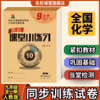 名校课堂小练习化学九年级全一册人教版R初三课时练教辅导资料书一课一练知识大全手册初中课时作业本同步课本教材专项练习册题
