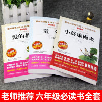 全套3册童年爱的教育小英雄雨来书高尔基正版原著完整版六年级必读课外书阅读书籍小学6上册上学期快乐读书吧老师推荐经典书目教