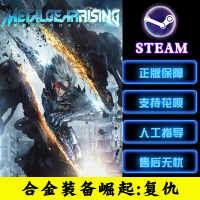 PC正版Steam 合金装备崛起:复仇 Metal Gear Rising: Revengeance 其他 英语