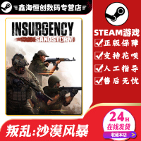 PC中文正版steam游戏 Insurgency: Sandstorm 叛乱:沙漠风暴 动作 标准版 简体中文
