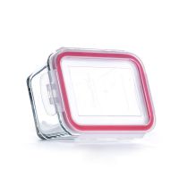 迪福海棠耐热玻璃保鲜盒 玻璃碗微波炉冰箱便当盒冰箱收纳盒 450ML长方形单只装