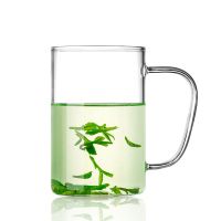 大容量玻璃杯茶杯水杯办公室花茶杯男女家用带盖带把过滤泡茶杯子 直觉杯500ML 不带盖