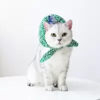 日系猫咪围脖小鱼离家出走小包袱猫咪拍照装饰狗狗宠物围脖猫围巾 绿唐草 XS-超小型