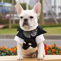 狗狗西装新郎礼服衣服宠物泰迪比熊情侣装小中型犬猫咪白色婚纱 领带款黑西装 S[胸围35建议3-5斤小可爱]