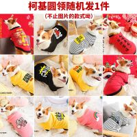 柯基衣服夏季薄款小狗狗柴犬泰迪小型犬中型犬宠物幼犬防掉毛透气 (春季薄绒)圆领随机发 XS(建议3-9斤)