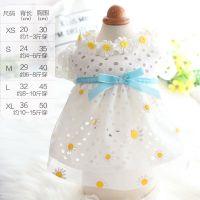 狗狗衣服夏季薄款裙子雏菊兔子泰迪比熊猫咪小公主蓬蓬裙宠物衣服 雏菊泡泡纱裙 XS号(约1-3斤穿)具体看尺寸