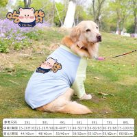 大狗衣服春秋装夏款夏季薄款金毛萨摩耶中大型犬拉布拉多阿拉斯加 小猪吃货薄款 3XL:(建议21-26斤)
