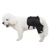 狗狗护膝护腿宠物大小型犬户外关节炎帮助恢复金毛手术受伤护脚套 黑色K018 左后边/单 S-小型