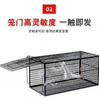 抓猫笼大号抓猫神器捕猫器诱捕笼多功能猫笼寻猫笼捕猫笼捉猫笼子 小号40*20*20cm 抓3斤
