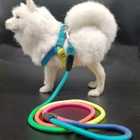 狗狗牵引绳狗链子泰迪小型犬幼犬背心式遛狗项圈胸背绳子宠物用品 胸背+牵引绳(2件套) S号(建议1-6斤)