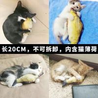 狗狗玩具宠物狗解闷神器磨牙小型耐咬幼犬用品电动小狗比熊柯基猫 薄荷鲫鱼20cm[普通款] 单独一件[损坏包赔]