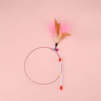 钢丝羽毛逗猫棒流苏仙女棒猫咪自嗨神器伸缩杆逗猫带铃铛猫猫玩具 经典逗猫棒1个