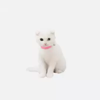 猫咪狗狗除跳蚤圈体外驱虫用品宠物狗项圈小狗防跳蚤虱子杀虫环保 钅[猫]除蚤项圈26CM左右 看清楚.#一个散装除螨包
