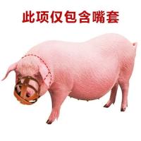 小猪崽仔猪防咬架牛马嘴套养殖猪嘴罩猪嘴笼套猪嘴母猪嘴套防咬套 小号推荐100-300斤