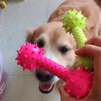 狗玩具磨牙耐咬宠物玩具 TPR带刺杠铃泰迪小狗玩具训犬用狗狗玩具 TPR带刺的杠铃颜色随机 1个