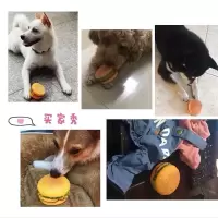 狗狗玩具仿真发声汉堡宠物玩具泰迪小狗磨牙洁齿训练狗狗发声玩具 汉堡包[1个装] 黄色