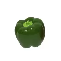 亲宠宠物玩具会叫仿真辣椒狗狗啃咬发声玩具耐咬洁齿互动狗玩具 绿色