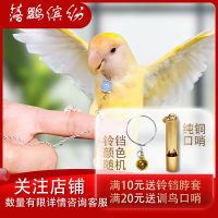 不锈钢鹦鹉鸟脖套,虎皮,大头,牡丹,玄凤鹦鹉不锈钢链子,铃铛脖套 [特价]铃铛脖套颜色请备注 虎皮
