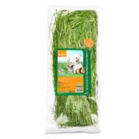 Jolly祖莉提摩西草新草 一割前嫩草兔子龙猫荷兰猪300g烘干干草 300g