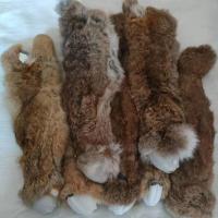 格力犬灵缇犬惠比特犬犬训练仿真兔子带叫声细狗训练兔子 仿真兔带叫声带防咬内衬一个装