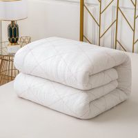 棉絮床垫被子被芯棉被子冬天加厚褥子学生单人春秋冬被被褥棉胎被 1米*2米褥子 2斤