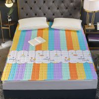 可机洗四季款防滑床垫床护垫榻榻米垫单双人学生宿舍床褥垫爬爬垫 七彩生活 0.6米*1.2米(小尺寸床)