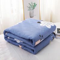 特价清仓夏凉被空调被双人薄被子夏天单人学生宿舍被可机洗洗夏被 朵朵儿家纺-雨季巴黎 140CM*200CM(学生款)
