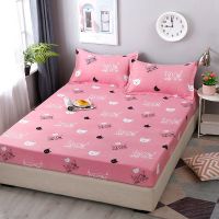 南极人斜纹款防滑床罩床笠单件加厚棕垫席梦思保护套全包床垫套 猫咪宝贝 90x200cm 单件床笠