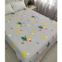 新款床盖炕上被子空调被双面单件四季床盖夏凉被床单卡通被榻榻米 花果园 70*110