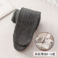儿童连裤袜春秋薄绒中厚棉质女童打底裤宝宝外穿保暖裤学生舞蹈袜 灰色 / 连裤（薄绒麻花） M （身高90-105厘米）