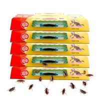 榄菊杀蟑饵剂蟑螂克星家用全窝端杀蟑神器无毒厨房除蟑小黑屋灭蟑 【榄菊强力防跑蟑螂屋】5片装