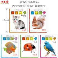 宝宝早教闪卡 80张大卡片 幼儿潜能开发卡亲子记忆力认知认物动物 ()5盒80张全套