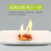 熊猫林引火神器户外烧烤木炭助燃剂点火蜡木棒木条固体燃料引料块 熊猫林引火神器户外烧烤木炭助燃剂点火蜡木棒木条固体燃料引料