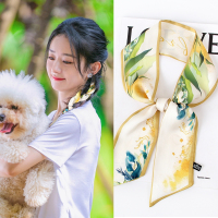 新款小碎花丝巾女夏季扎头发法式头巾绑发发带飘带绑包围巾秋薄款 春华惊梦