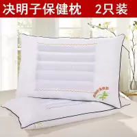 决明子枕头磁石枕芯双人学生单人成人家用护颈椎磁疗枕一对带枕套 决明子保健枕一对（不送枕套）