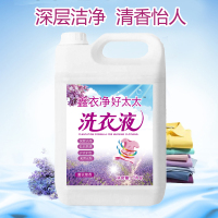 好太太洗衣液5kg香水家庭装散装10斤大桶特惠促销洁净薰衣草 薰衣草(5公斤)