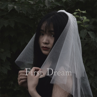 FirstDream新品新娘头饰结婚礼领证拍婚纱白色双层短款小头纱 白色 100cm-135cm