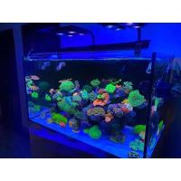 海缸贴膜新款海水鱼缸珊瑚缸过滤蓝光防眩晕手机拍照拍摄滤镜神器 海缸贴膜 0x0cm