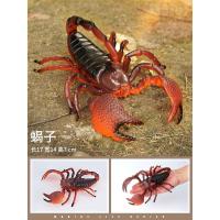蝎子模型毒蝎玩具大号仿真昆虫儿童玩具动物蜘蛛蚱蜢瓢虫独角仙61 蝎子