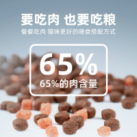 新品 滋奇冻干猫粮 三文鱼牛肉鸡肉成猫幼猫增肥体验装 40g*3包 6个月以上 混合口味 体验包[40g*3包]成猫