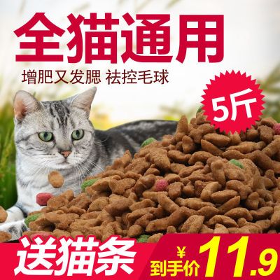 猫粮通用型5斤10斤20斤幼猫成猫流浪猫粮鱼肉味2.5kg1斤特价 6个月以上 海洋鱼味1斤装送10支火腿