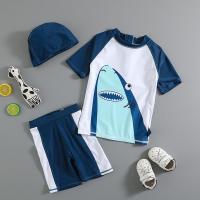 特价 儿童泳衣 男童卡通造型鲨鱼中小大童分体泳装 套装防晒泳衣 图片色 4T