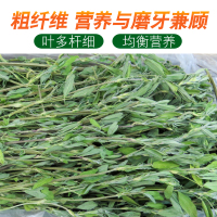 特价新草超绿苜蓿草干草大叶 兔粮兔子龙猫荷兰猪兔草1kg