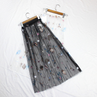 半身裙女2021春夏新款透明网纱单层纱裙中长款罩裙外搭蕾丝打底裙 黑色 均码