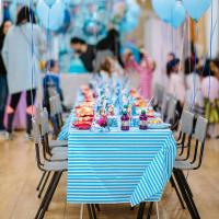 ins长方形一次性桌布学校幼儿园野餐派对新年元旦布置用长台布 浅蓝条纹★宽:1.37米,长2.74米 (一张价)