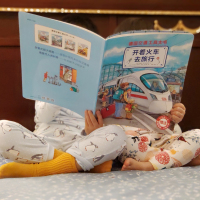 汽车书籍儿童 德国交通工具大书3一6岁读物2到4至5岁幼儿科普认知绘本男孩图书故事书高铁工程车消防员消防车书大全宝宝的书