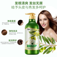 橄榄洗发水家庭装控油去屑柔顺持久留香护发素沐浴露洗头膏男女士 408ml薰衣草沐浴露 其他