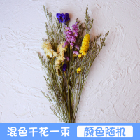 马赛克手工diy花瓶制作材料包教师节创意亲子活动幼儿园玩具礼物 干花一束